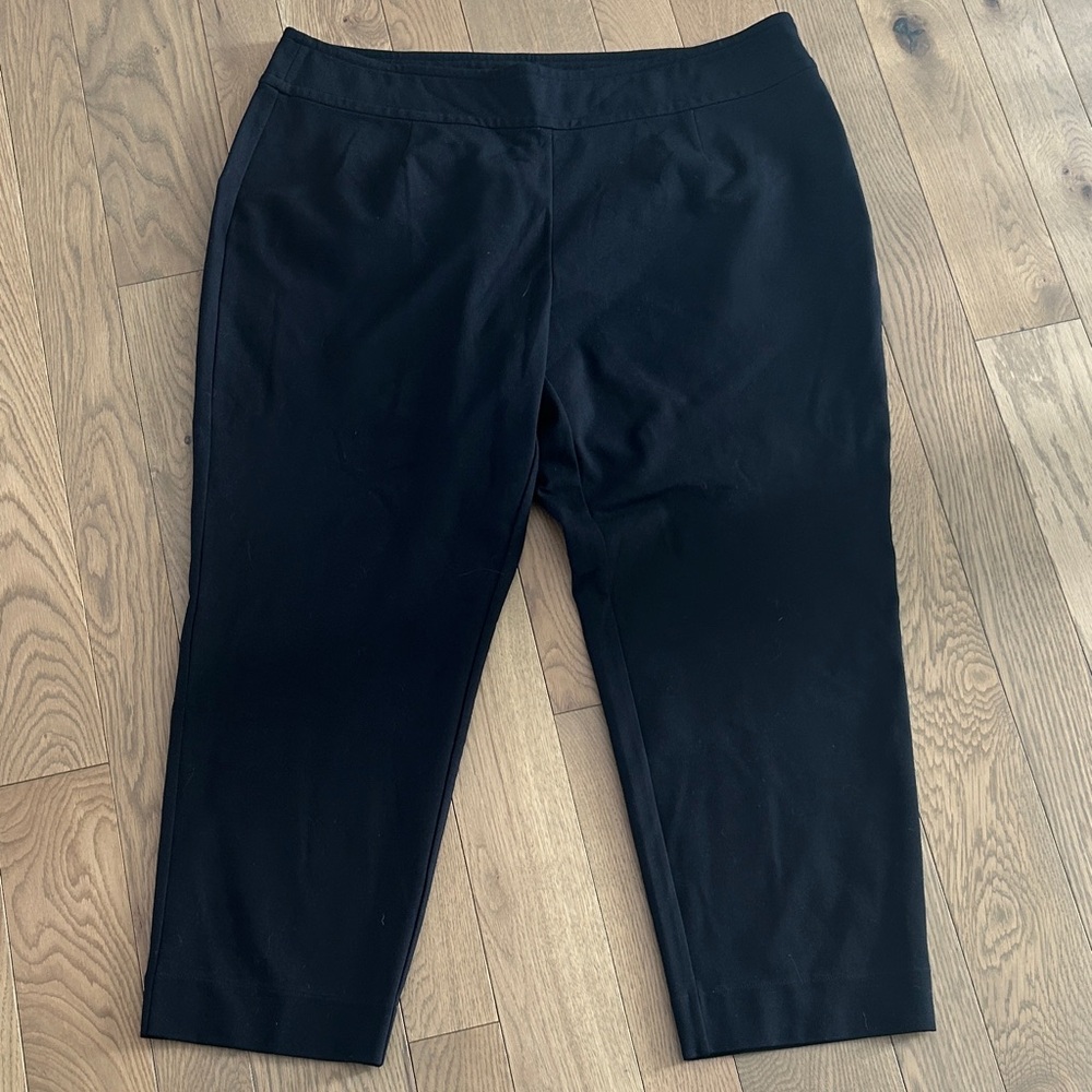 $218 NWT Eileen Fisher sz 3X Ponte Knit viscose stretch Skinny Pants side zip